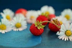 strawberries-80